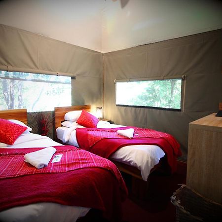 Mali Boutique Lodge & Tube 'N Axe Budget Accommodation Stormsrivier Pokój zdjęcie