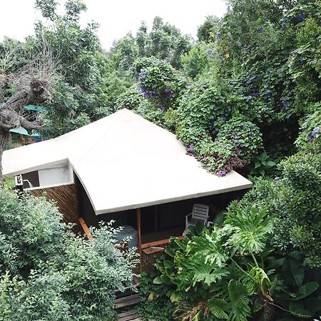 Mali Boutique Lodge & Tube 'N Axe Budget Accommodation Stormsrivier Pokój zdjęcie