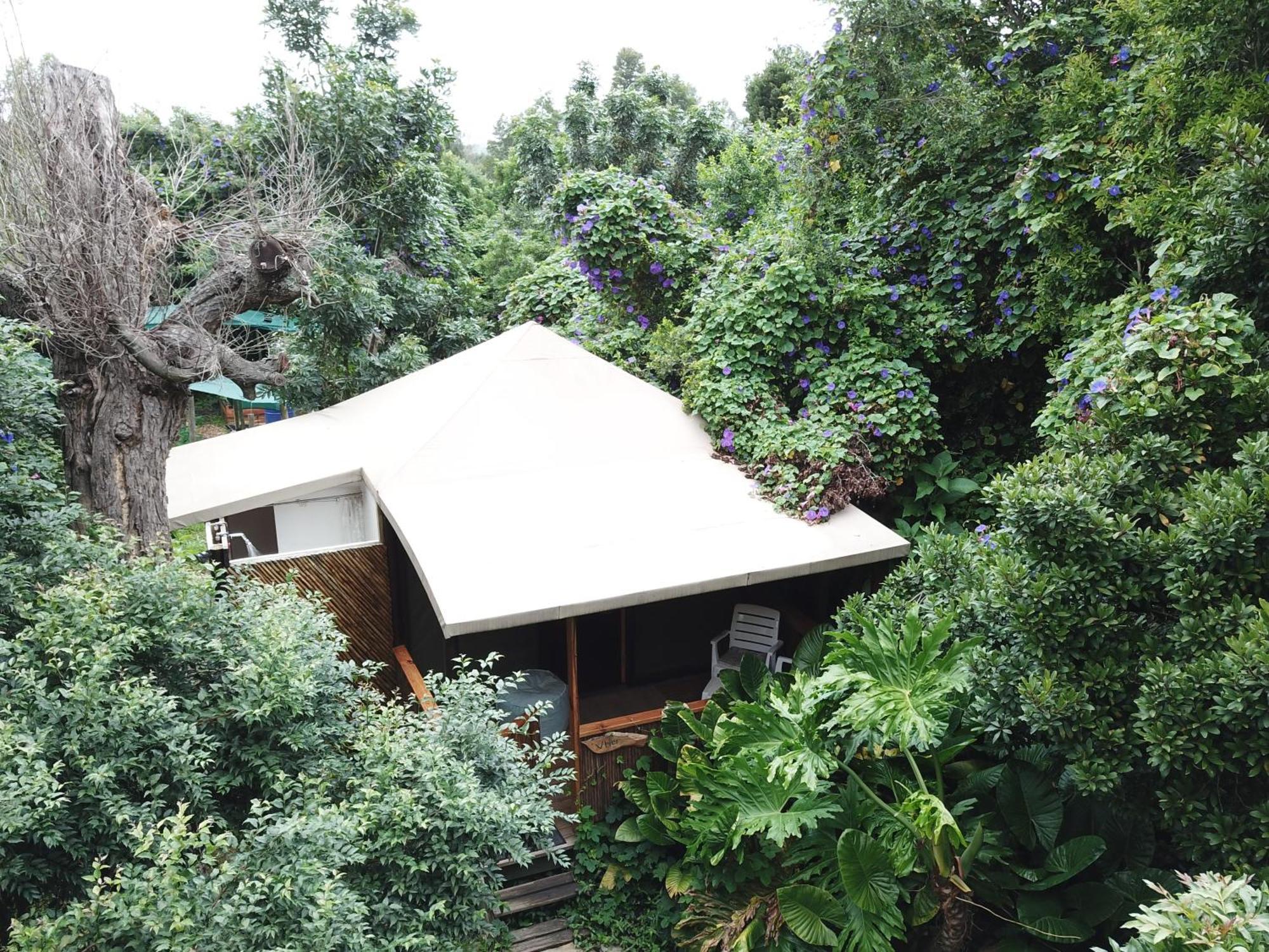 Mali Boutique Lodge & Tube 'N Axe Budget Accommodation Stormsrivier Pokój zdjęcie